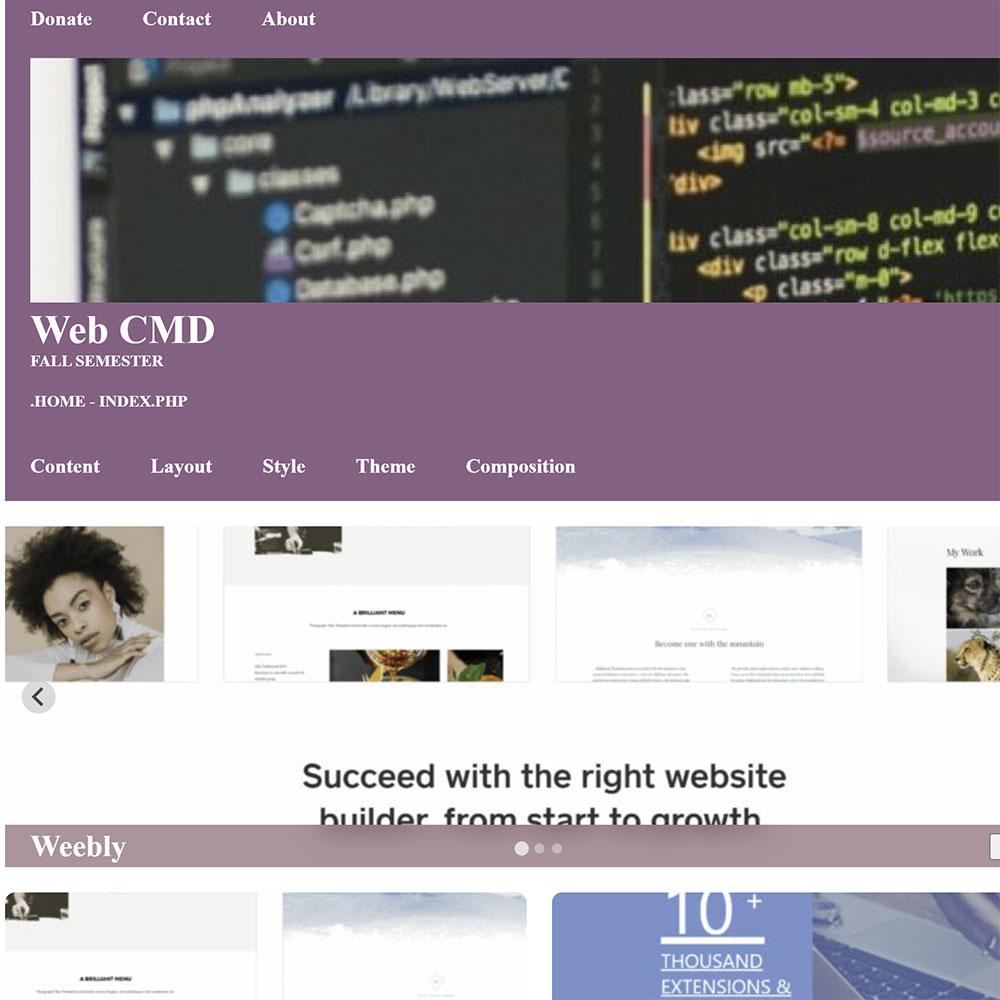 Wordpress homepage